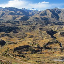 Terraces in the Colca Canyon